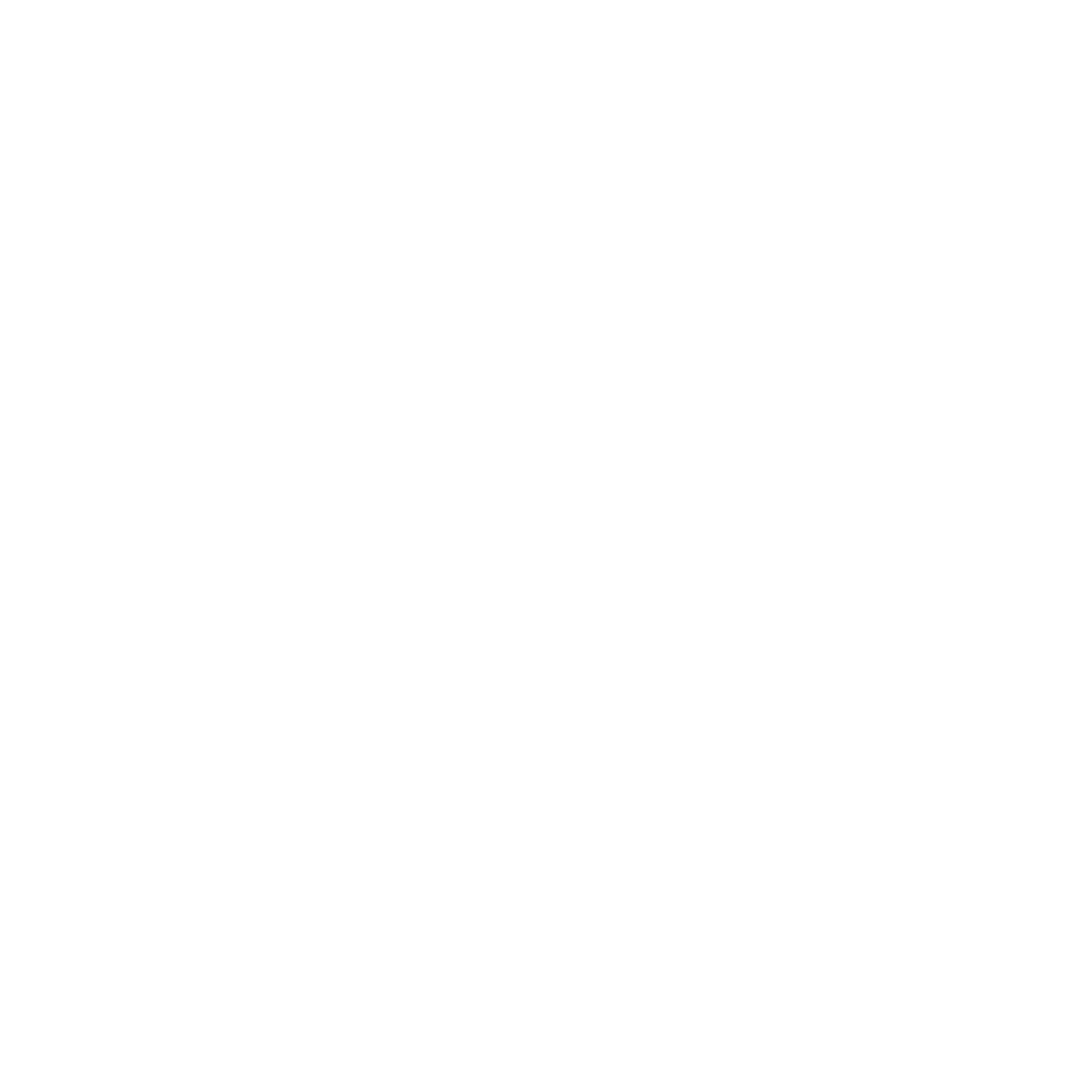 Empower Invictus Group logo